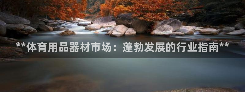 欧陆娱乐注册链接安全吗：**体育用品器材市场：蓬勃发