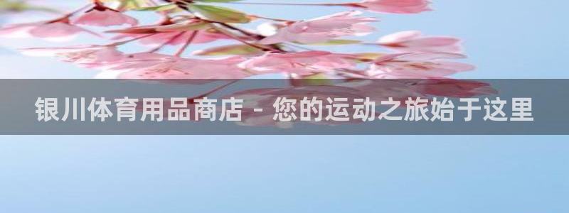 欧陆娱乐挂机项目怎么设置：银川体育用品商店 - 您的