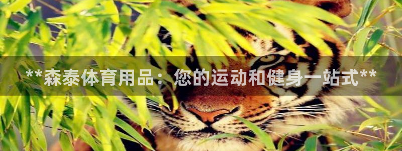 欧陆娱乐有限公司招聘：**森泰体育用品：您的运动和健