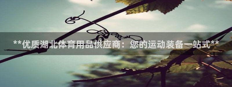 欧陆娱乐计划app官方正版安装下载：**优质湖北体育