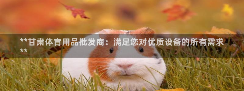 欧陆娱乐总代理：**甘肃体育用品批发商：满足您对优质