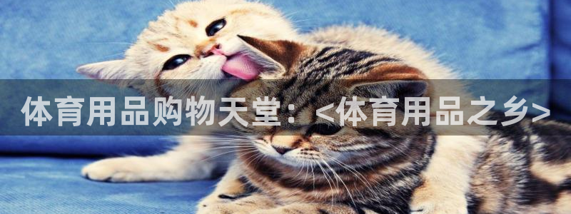 欧陆娱乐突然登录不了了：体育用品购物天堂：<体育用品