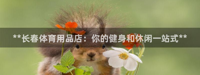 欧陆娱乐有风险吗：**长春体育用品店：你的健身和休闲