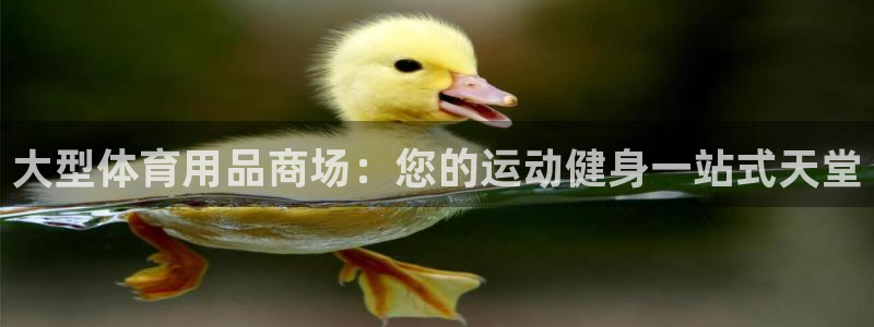 重庆欧陆娱乐有限公司：大型体育用品商场：您的运动健身