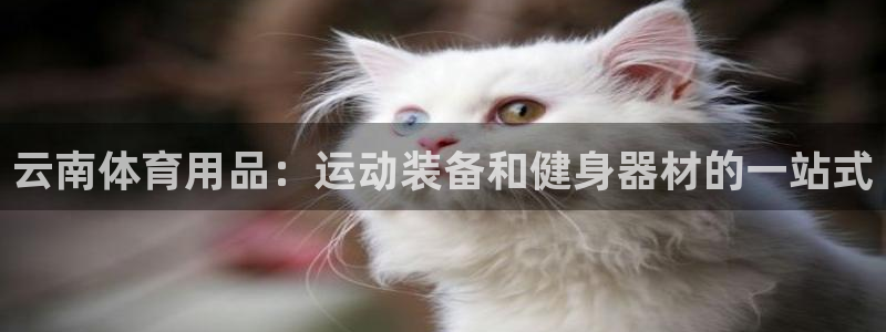 欧陆娱乐合法吗?：云南体育用品：运动装备和健身器材的