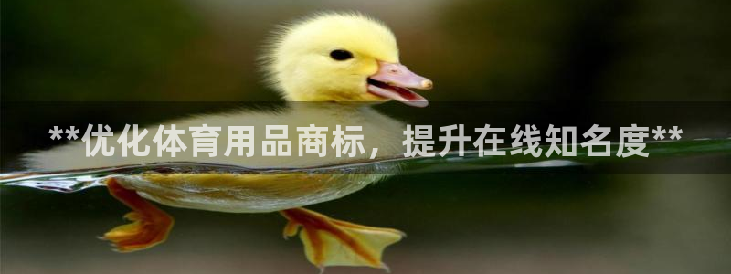 欧陆娱乐官网下载安装：**优化体育用品商标，提升在线