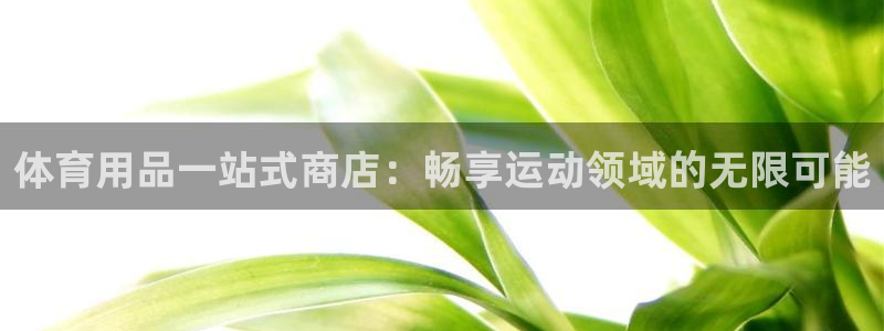 欧陆论坛：体育用品一站式商店：畅享运动领域的无限可能