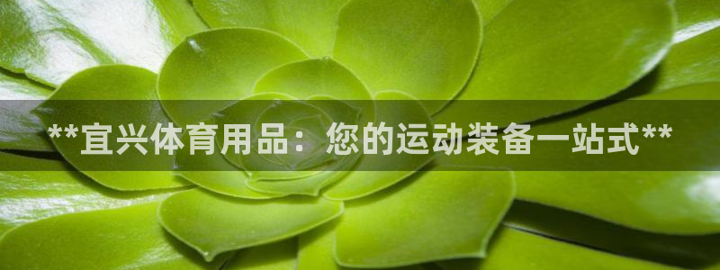欧陆论坛：**宜兴体育用品：您的运动装备一站式**