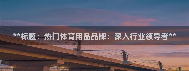 欧陆娱乐访问：**标题：热门体育用品品牌：深入行业领