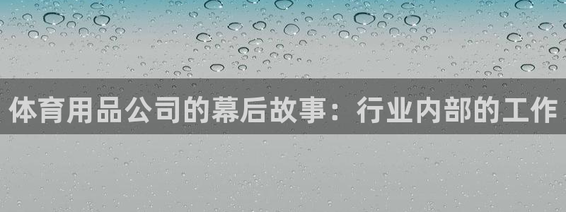 欧陆娱乐app攻略大全：体育用品公司的幕后故事：行业