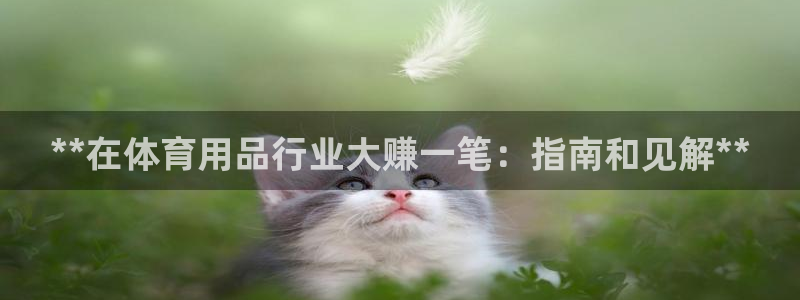 欧陆娱乐app攻略下载：**在体育用品行业大赚一笔：