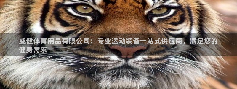 欧陆娱乐是正规平台吗安全吗可靠吗知乎：威健体育用品有