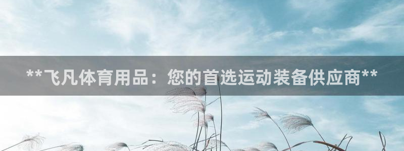 欧陆娱乐出款了吗：**飞凡体育用品：您的首选运动装备