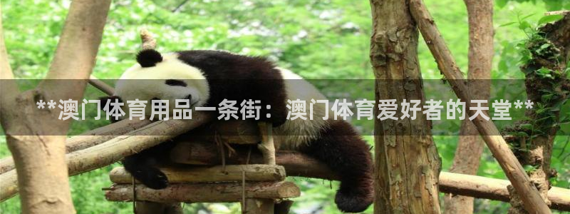 欧陆娱乐怎么注册帐号：**澳门体育用品一条街：澳门体