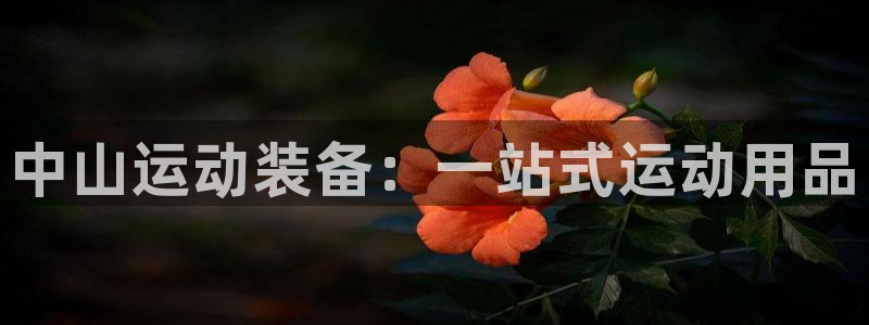 欧陆娱乐登录官网网址：中山运动装备：一站式运动用品