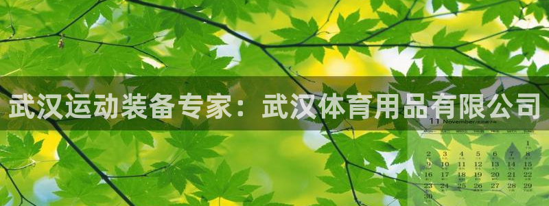欧陆娱乐共创美好：武汉运动装备专家：武汉体育用品有限