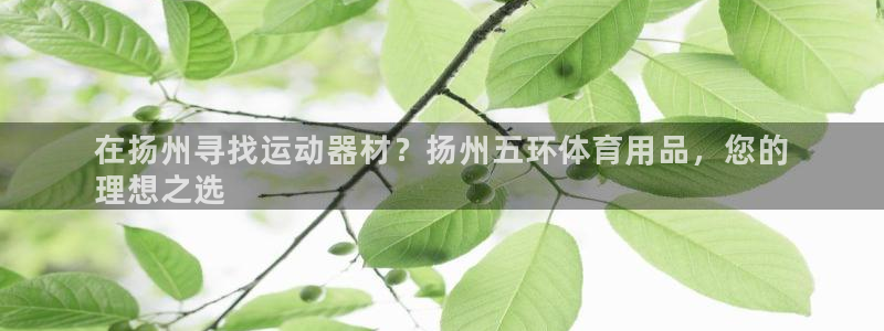 欧陆娱乐是正规平台吗安全吗可信吗是真的吗：在扬州寻找