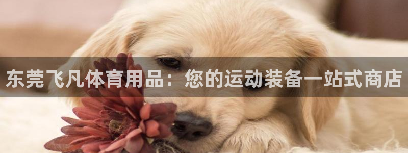 欧陆娱乐登录注册平台官网：东莞飞凡体育用品：您的运动
