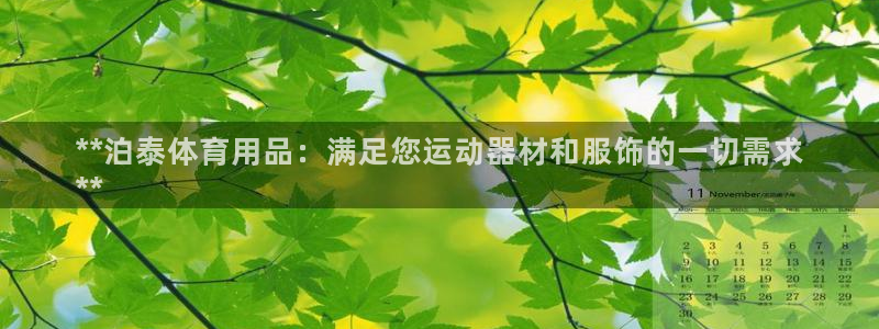 欧陆娱乐挂机项目：**泊泰体育用品：满足您运动器材和