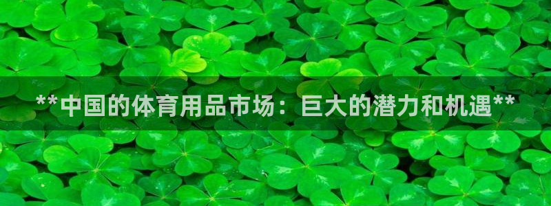 欧陆娱乐平台官网：**中国的体育用品市场：巨大的潜力