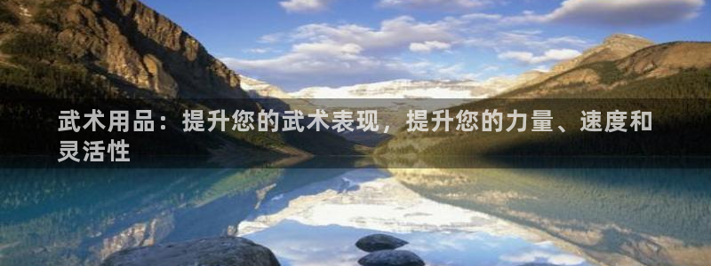 欧陆娱乐登录测速怎么关闭：武术用品：提升您的武术表现
