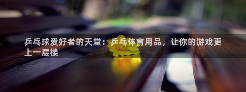 欧陆娱乐有风险吗：乒乓球爱好者的天堂：乒乓体育用品，