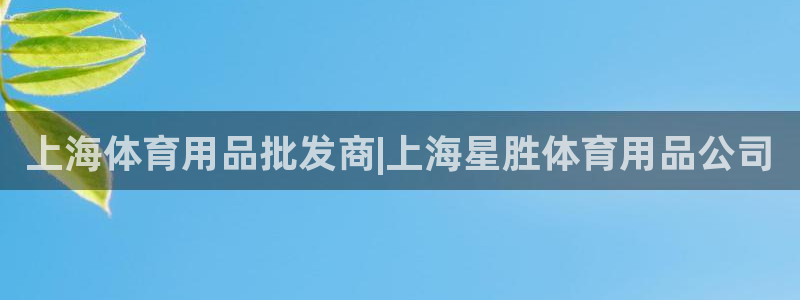欧陆娱乐客服电话：上海体育用品批发商|上海星胜体育用