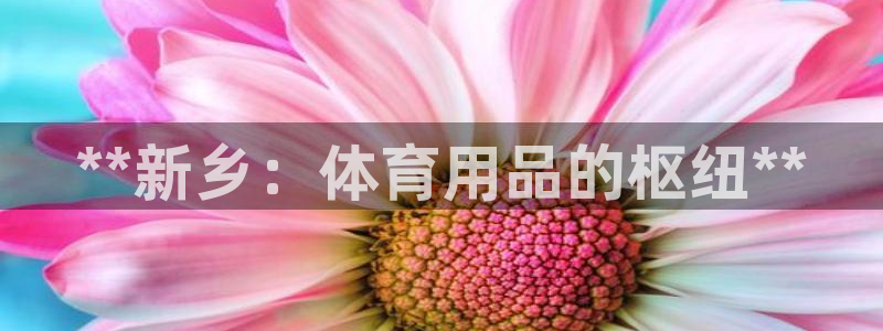欧陆娱乐平台毕 (q—43314) 旨：**新乡：体