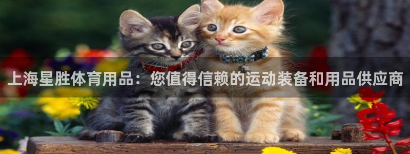 欧陆娱乐不让提现吗：上海星胜体育用品：您值得信赖的运