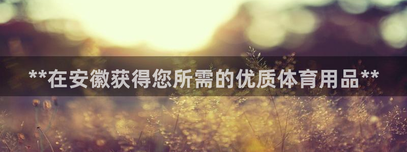 欧陆娱乐计划预测软件：**在安徽获得您所需的优质体育