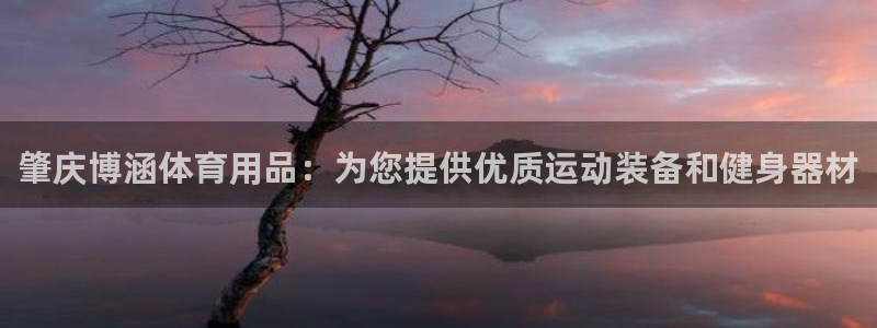 欧陆娱乐是那个旗下的品牌公司：肇庆博涵体育用品：为您