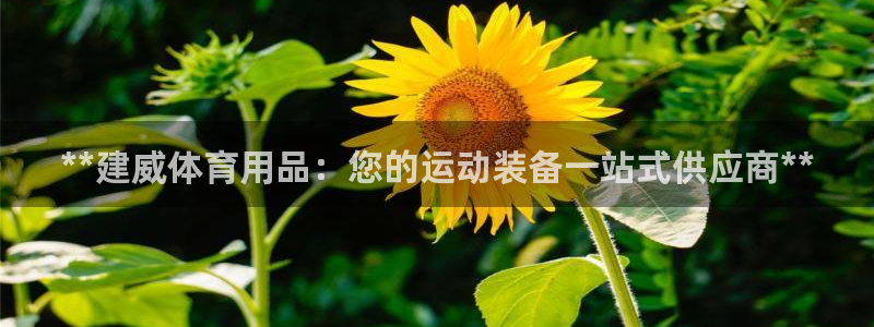 欧陆娱乐注册代理多少钱一年：**建威体育用品：您的运