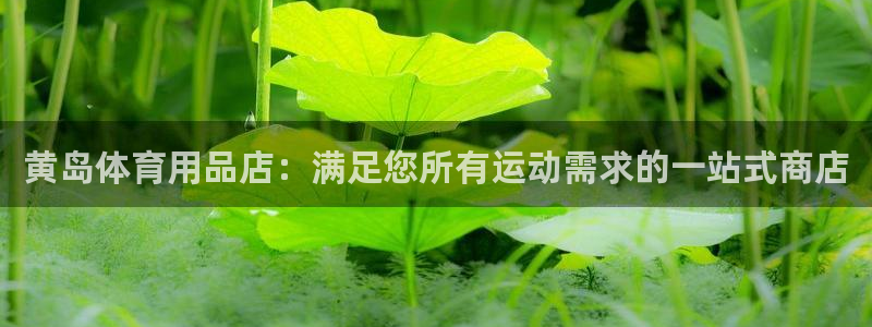 欧陆娱乐太阳：黄岛体育用品店：满足您所有运动需求的一