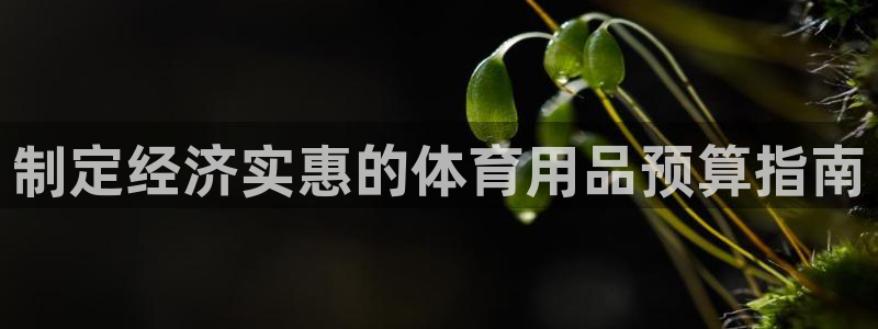 欧陆娱乐登录平台：制定经济实惠的体育用品预算指南