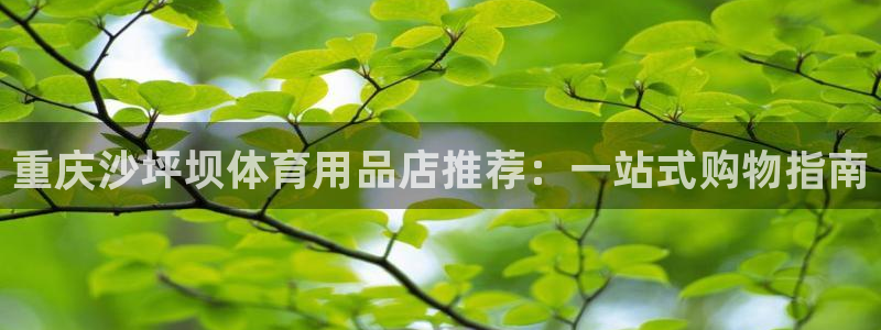 欧陆娱乐客服服务：重庆沙坪坝体育用品店推荐：一站式购