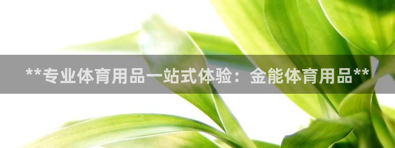 欧陆娱乐百科：**专业体育用品一站式体验：金能体育用