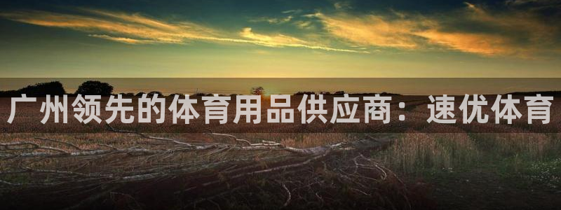 欧陆娱乐能赚钱吗：广州领先的体育用品供应商：速优体育