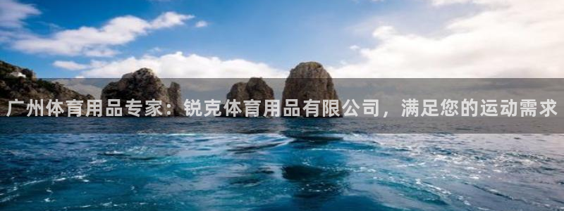 欧陆娱乐是干什么的：广州体育用品专家：锐克体育用品有