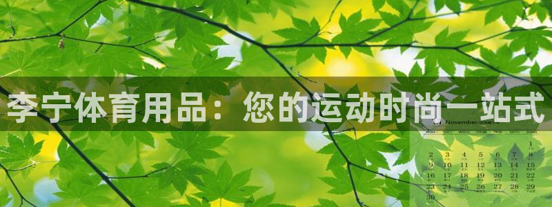 欧陆娱乐公司产品介绍大全：李宁体育用品：您的运动时尚一站式