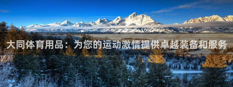 欧陆娱乐客服电话人工服务：大同体育用品：为您的运动激