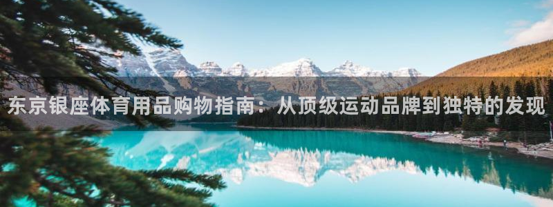 欧陆娱乐官方客服电话：东京银座体育用品购物指南：从顶