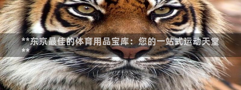 欧陆娱乐app攻略：**东京最佳的体育用品宝库：您的