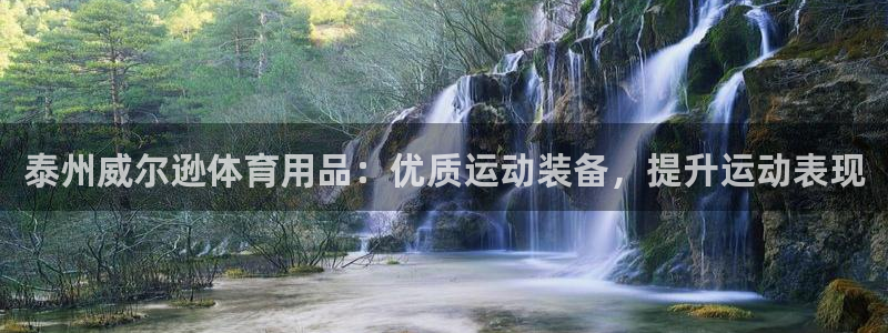 欧陆娱乐公司产品介绍：泰州威尔逊体育用品：优质运动装