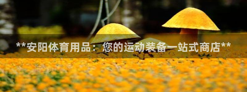 欧陆娱乐息7o777ts=0：**安阳体育用品：您的