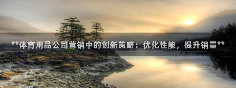 欧陆娱乐平台登陆地址在哪改：**体育用品公司营销中的