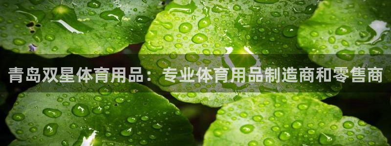 欧陆娱乐官网首页入口：青岛双星体育用品：专业体育用品