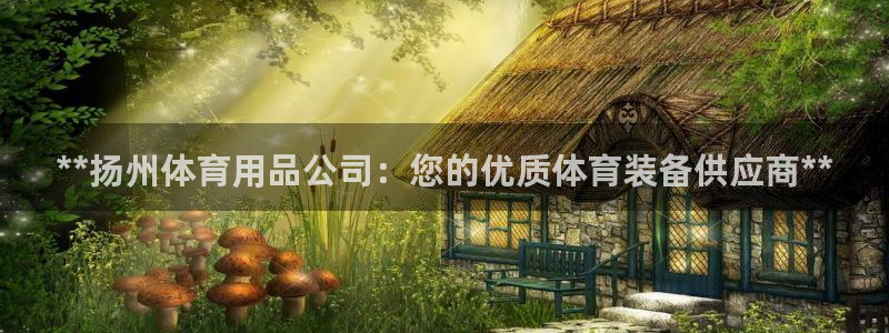 欧陆娱乐能赚钱吗：**扬州体育用品公司：您的优质体育