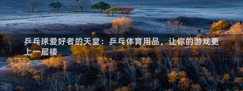 欧陆娱乐能赚钱吗知乎：乒乓球爱好者的天堂：乒乓体育用