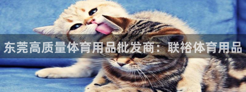 欧陆娱乐可以退钱：东莞高质量体育用品批发商：联裕体育用品