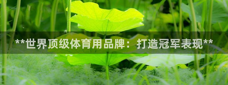 欧陆娱乐平台登陆地址在哪里：**世界顶级体育用品牌：